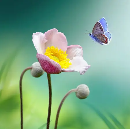 image-summer