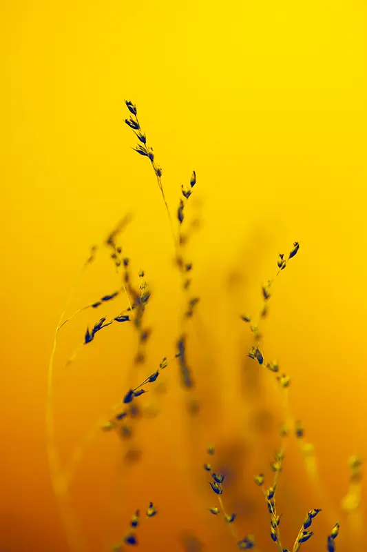marek-piwnicki-SK5UiKpr8wA-unsplash-scaled